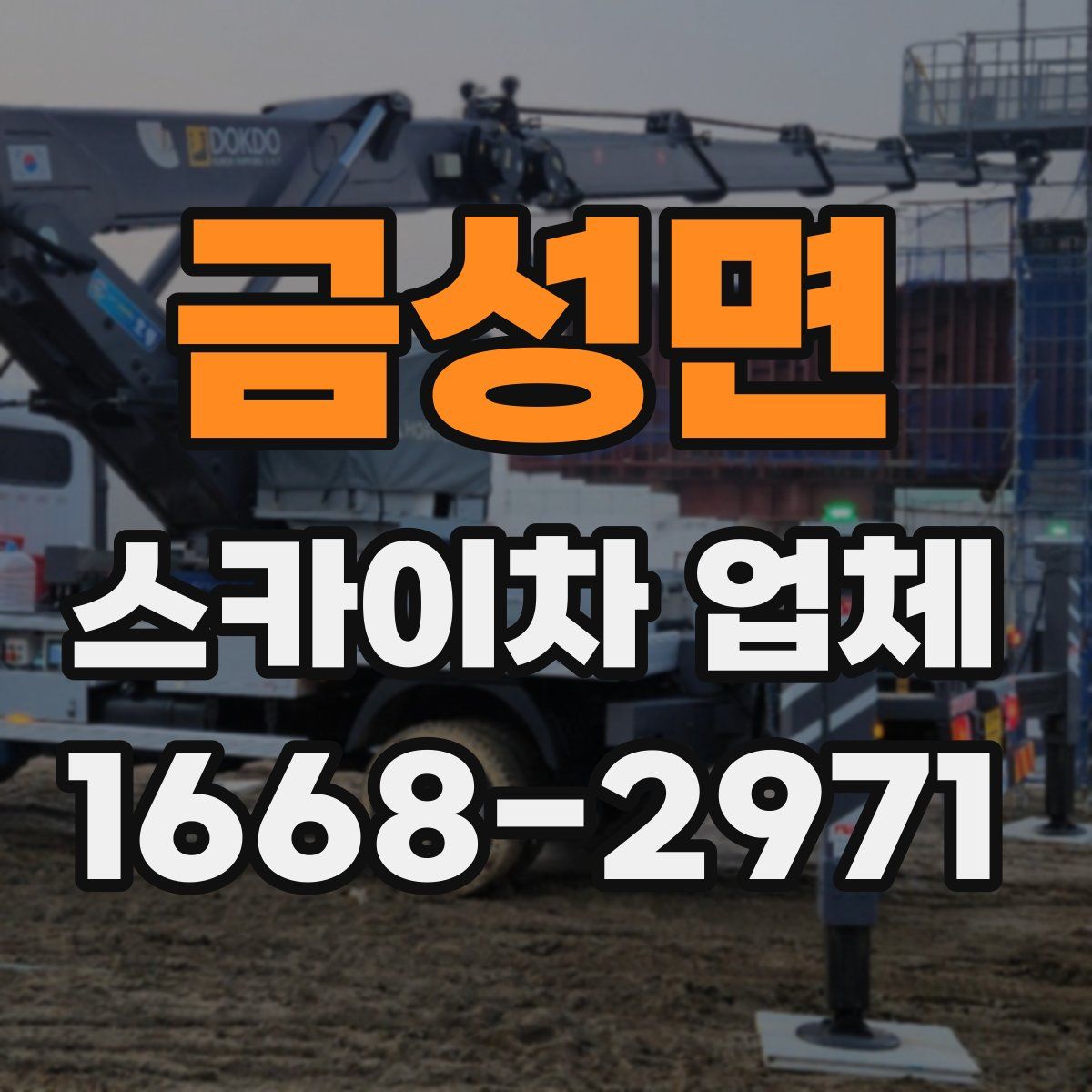 금성면 스카이차 업체