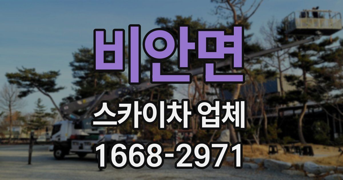 비안면 스카이차 업체