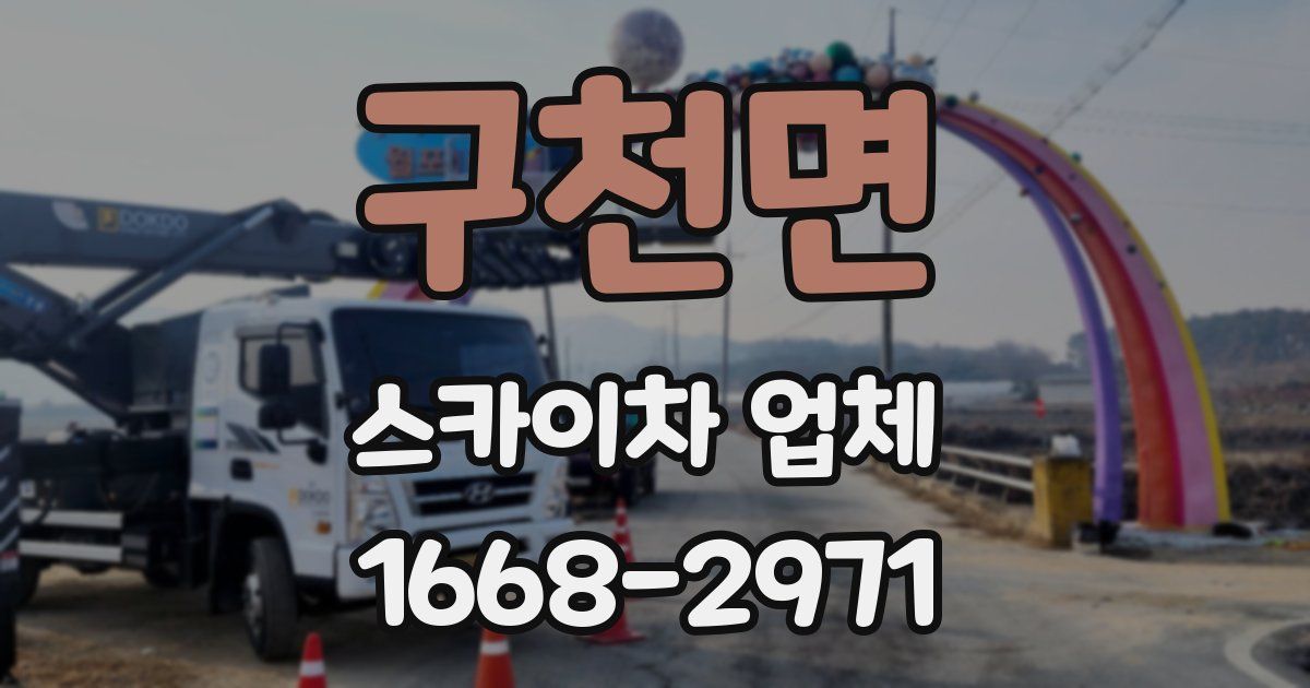 구천면 스카이차 업체