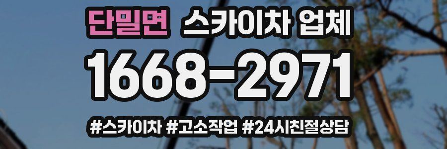 단밀면 스카이차 업체