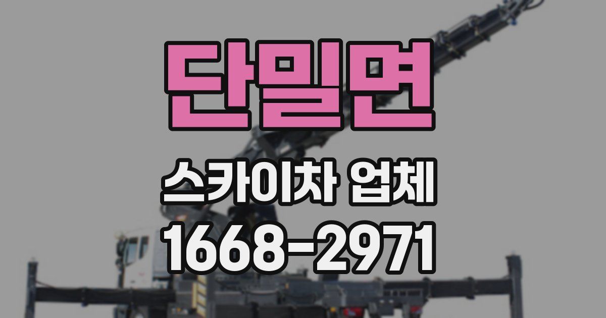 단밀면 스카이차 업체