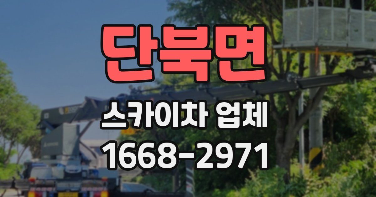 단북면 스카이차 업체