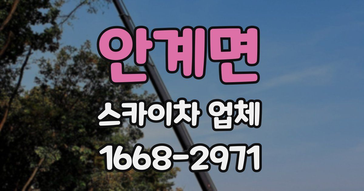 안계면 스카이차 업체