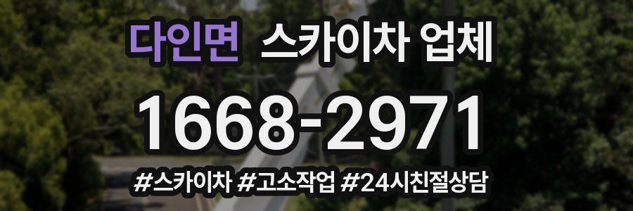 다인면 스카이차 업체