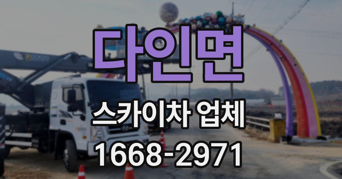 다인면 스카이차 업체