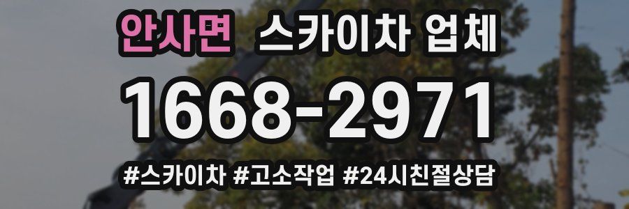 안사면 스카이차 업체
