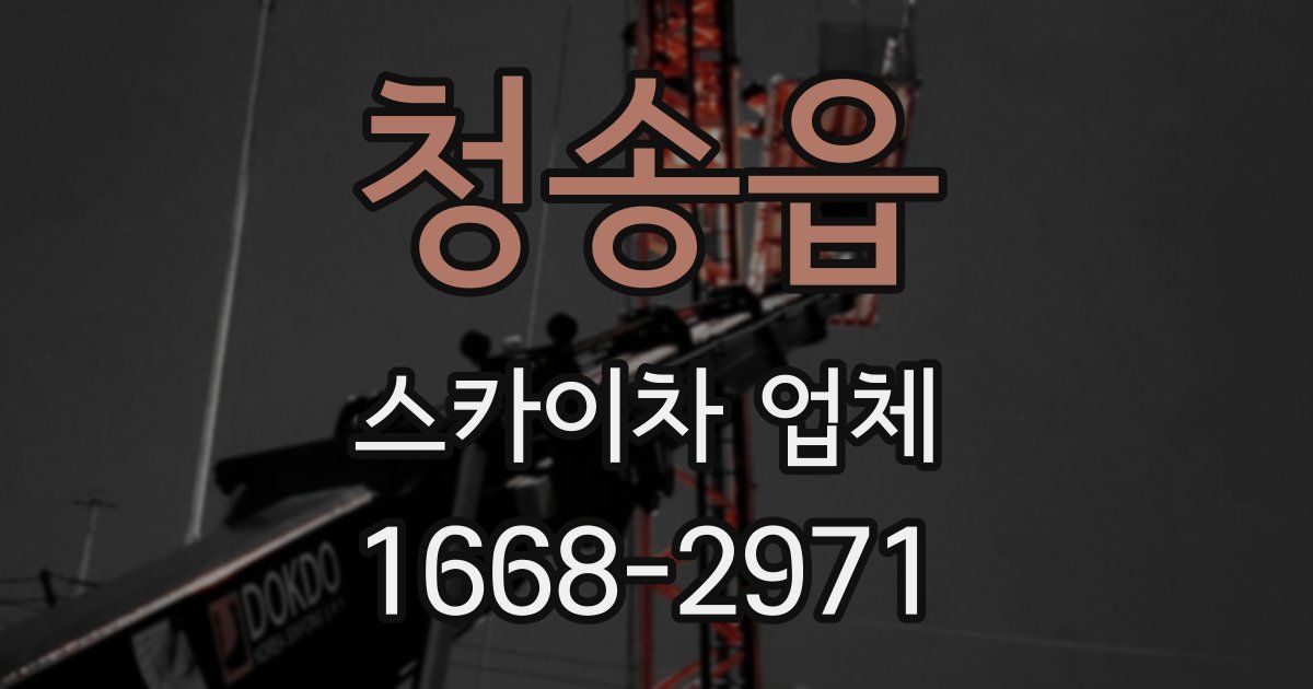 청송읍 스카이차 업체