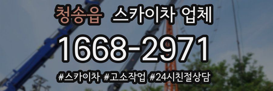 청송읍 스카이차 업체