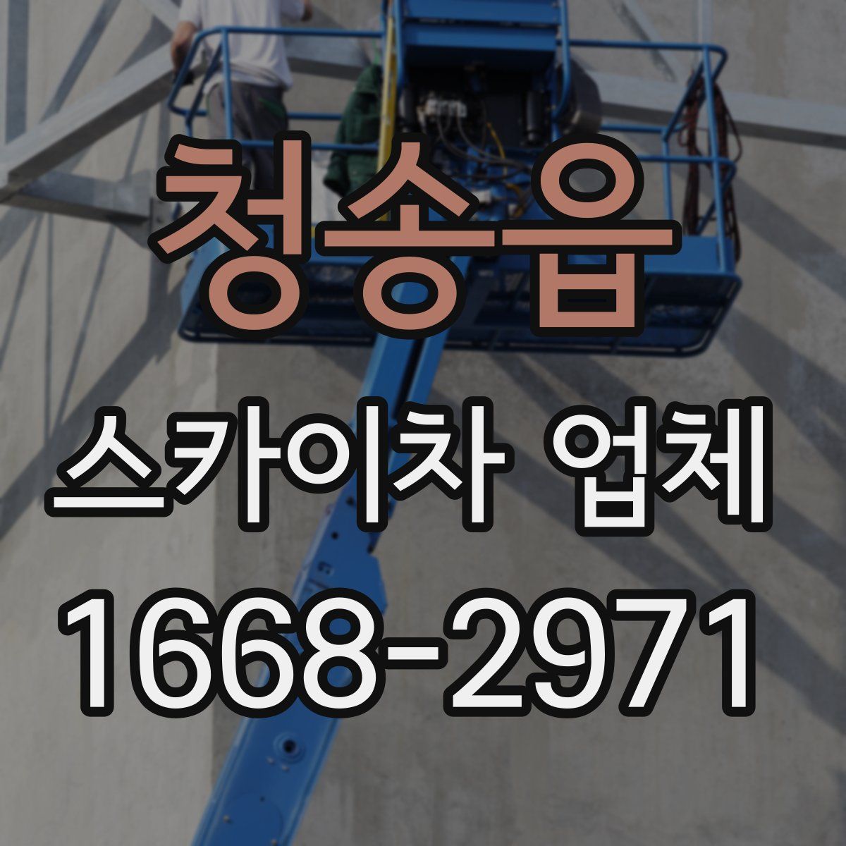 청송읍 스카이차 업체