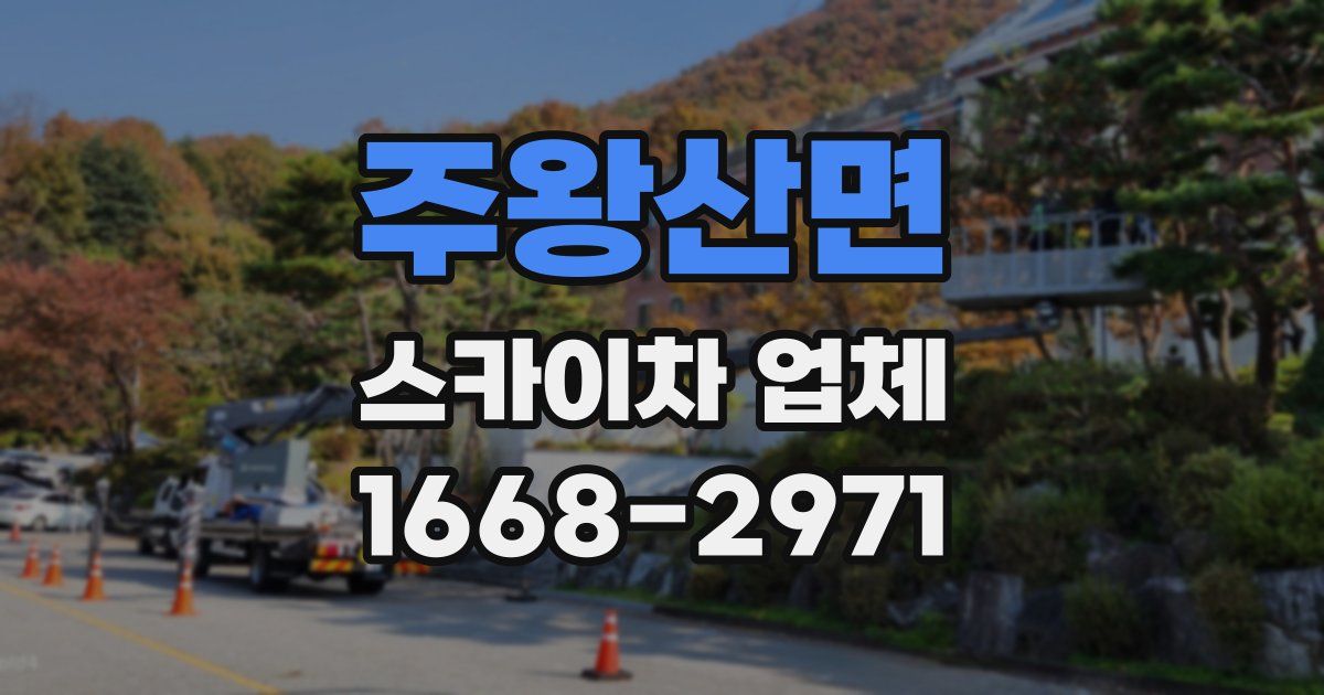 주왕산면 스카이차 업체