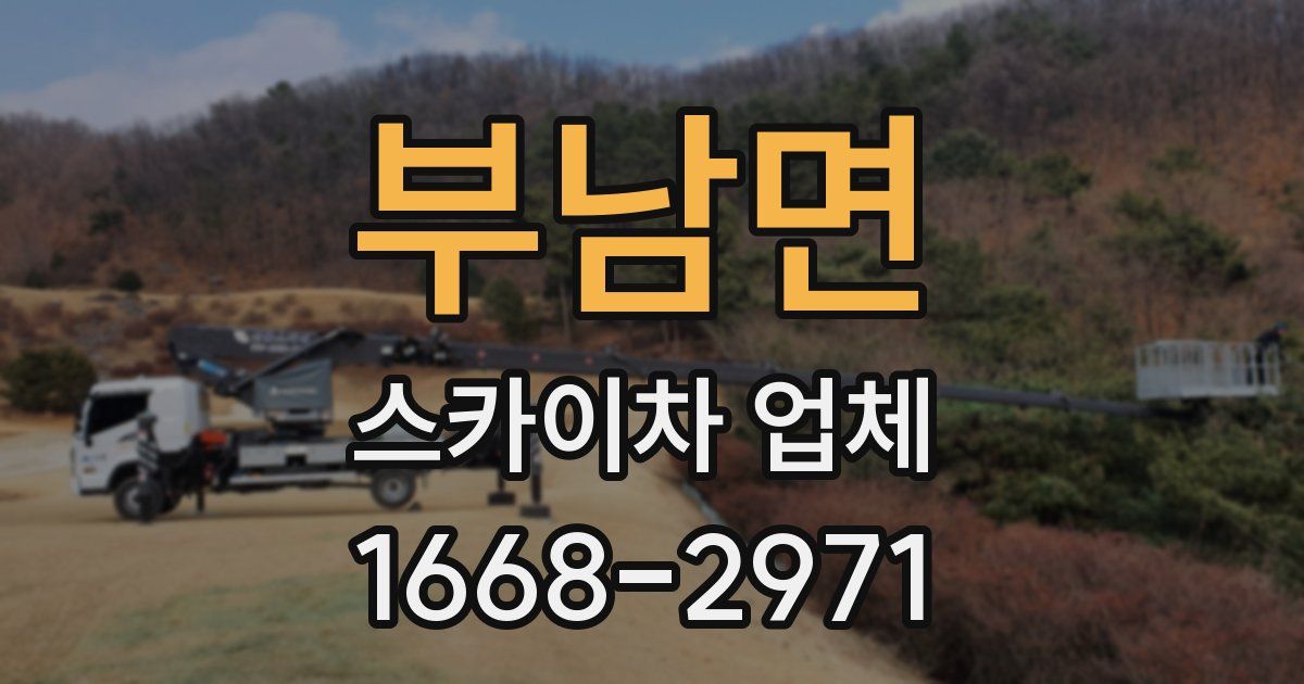 부남면 스카이차 업체