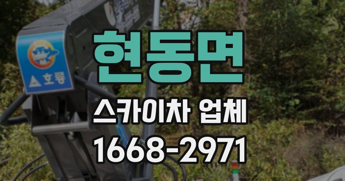 현동면 스카이차 업체