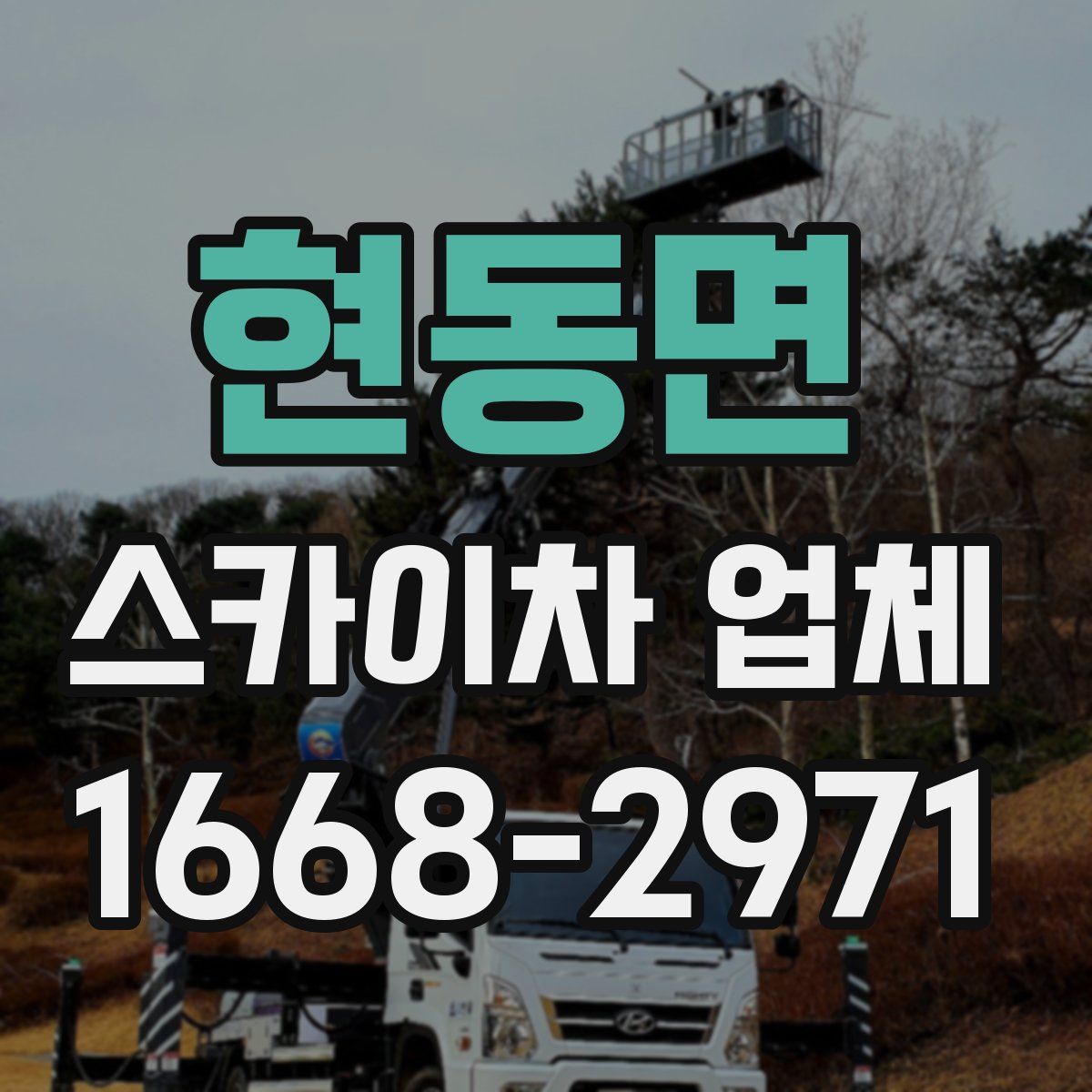 현동면 스카이차 업체