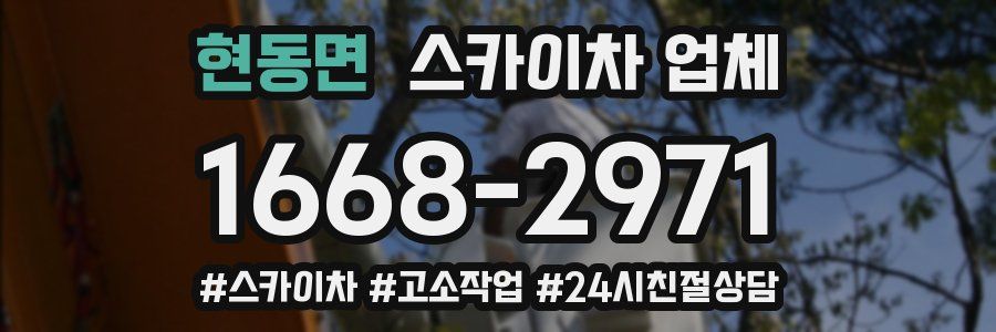 현동면 스카이차 업체