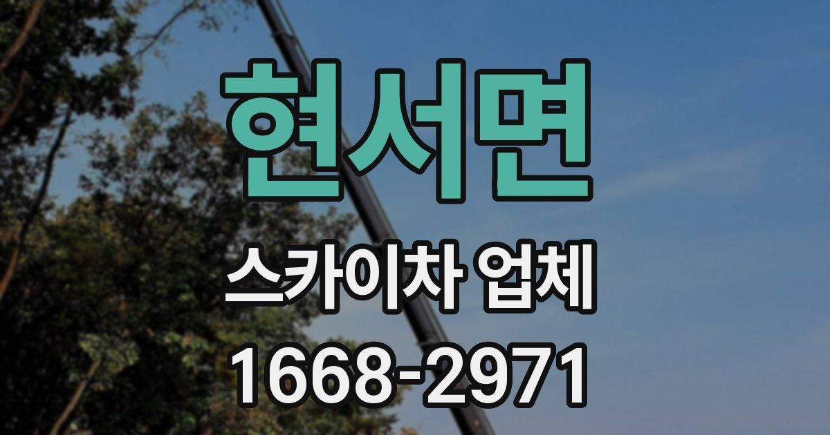 현서면 스카이차 업체