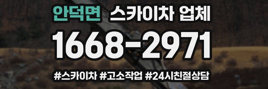 안덕면 스카이차 업체