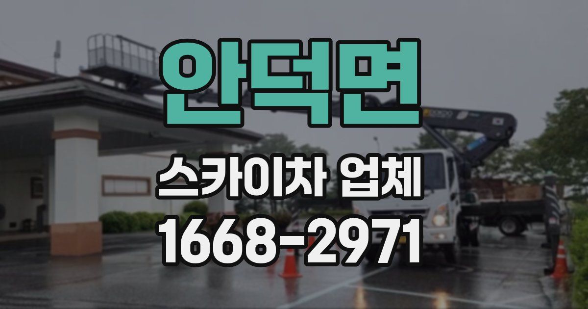 안덕면 스카이차 업체