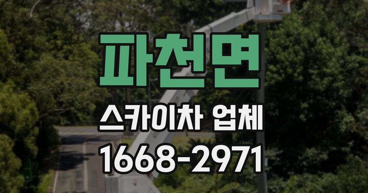 파천면 스카이차 업체