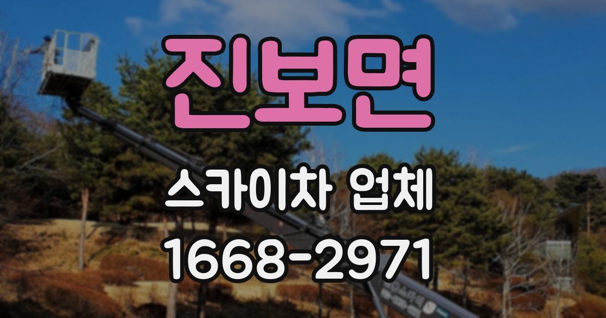 진보면 스카이차 업체