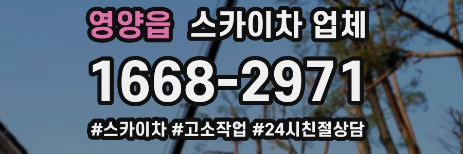 영양읍 스카이차 업체
