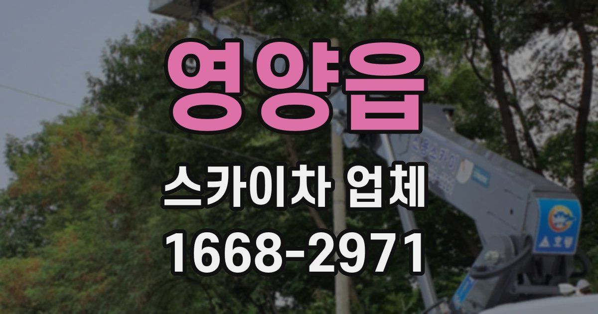 영양읍 스카이차 업체