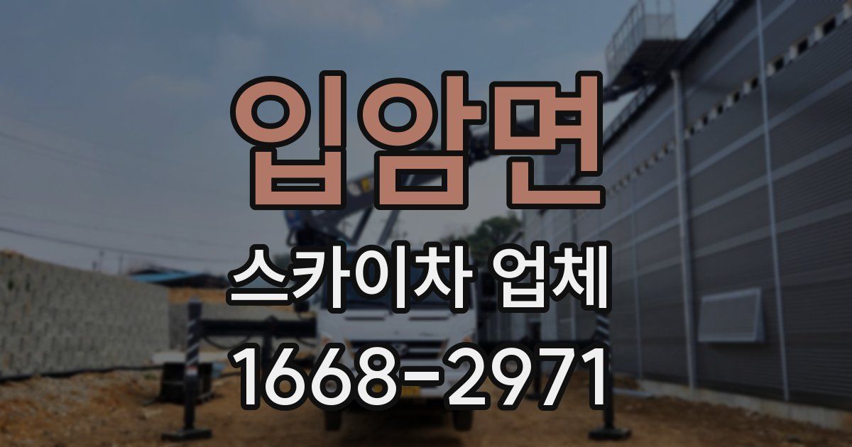 입암면 스카이차 업체
