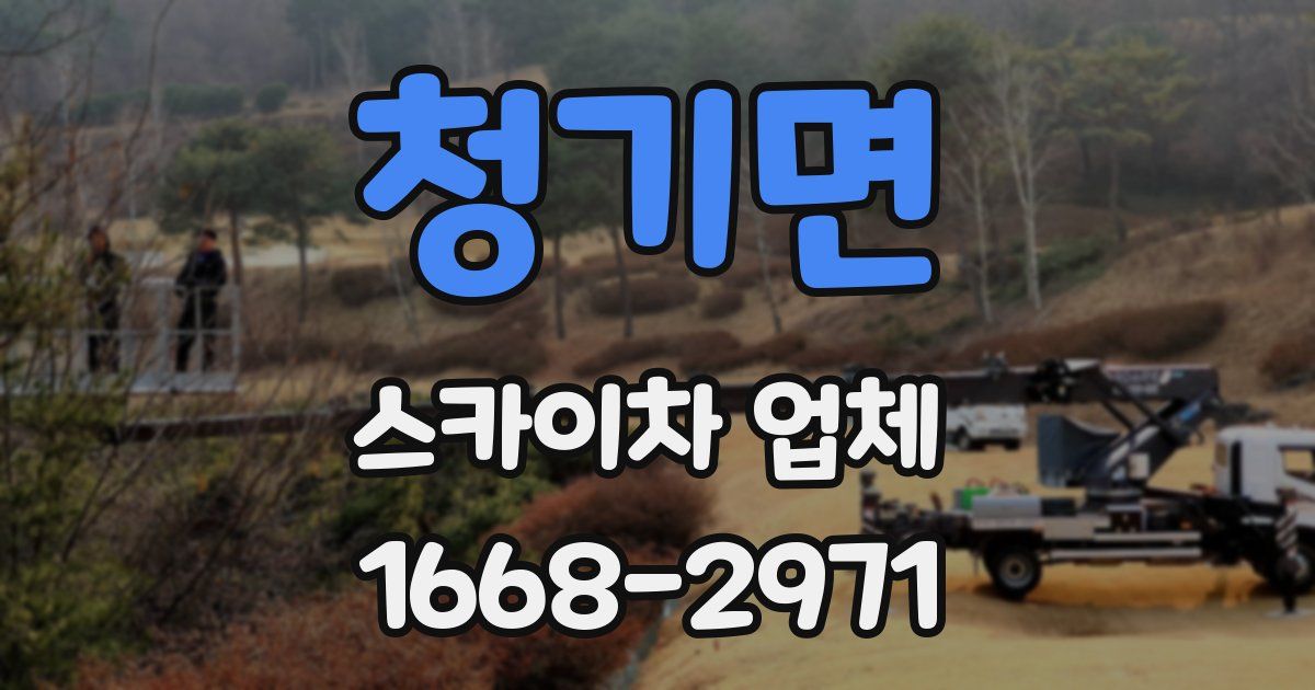 청기면 스카이차 업체