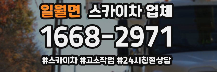 일월면 스카이차 업체