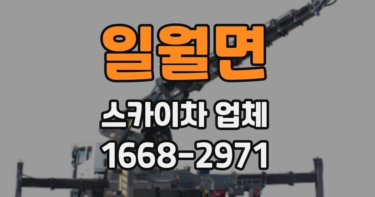 일월면 스카이차 업체