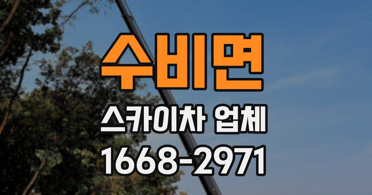 수비면 스카이차 업체