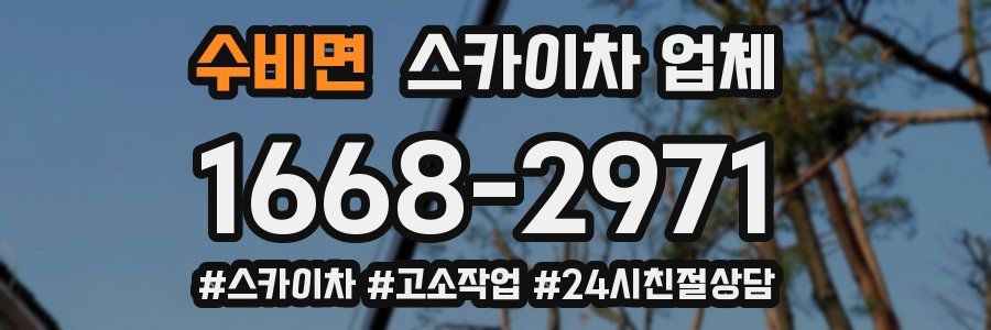 수비면 스카이차 업체