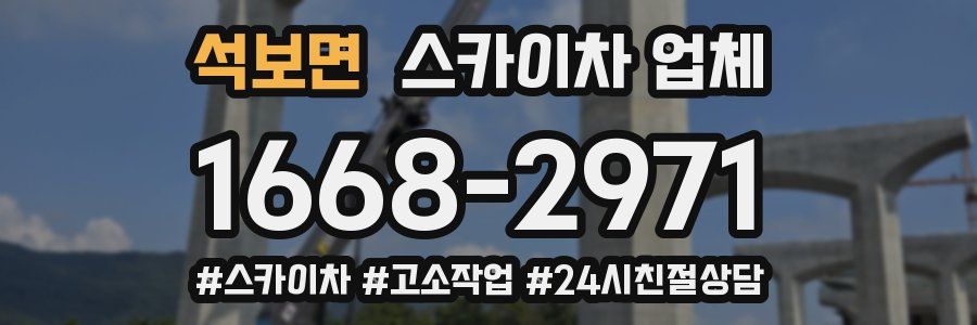 석보면 스카이차 업체