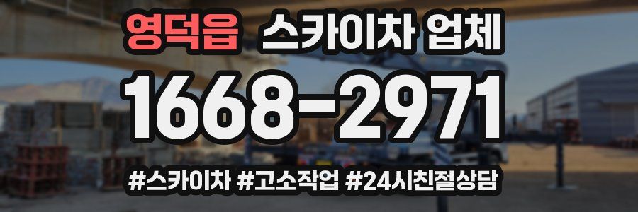 영덕읍 스카이차 업체