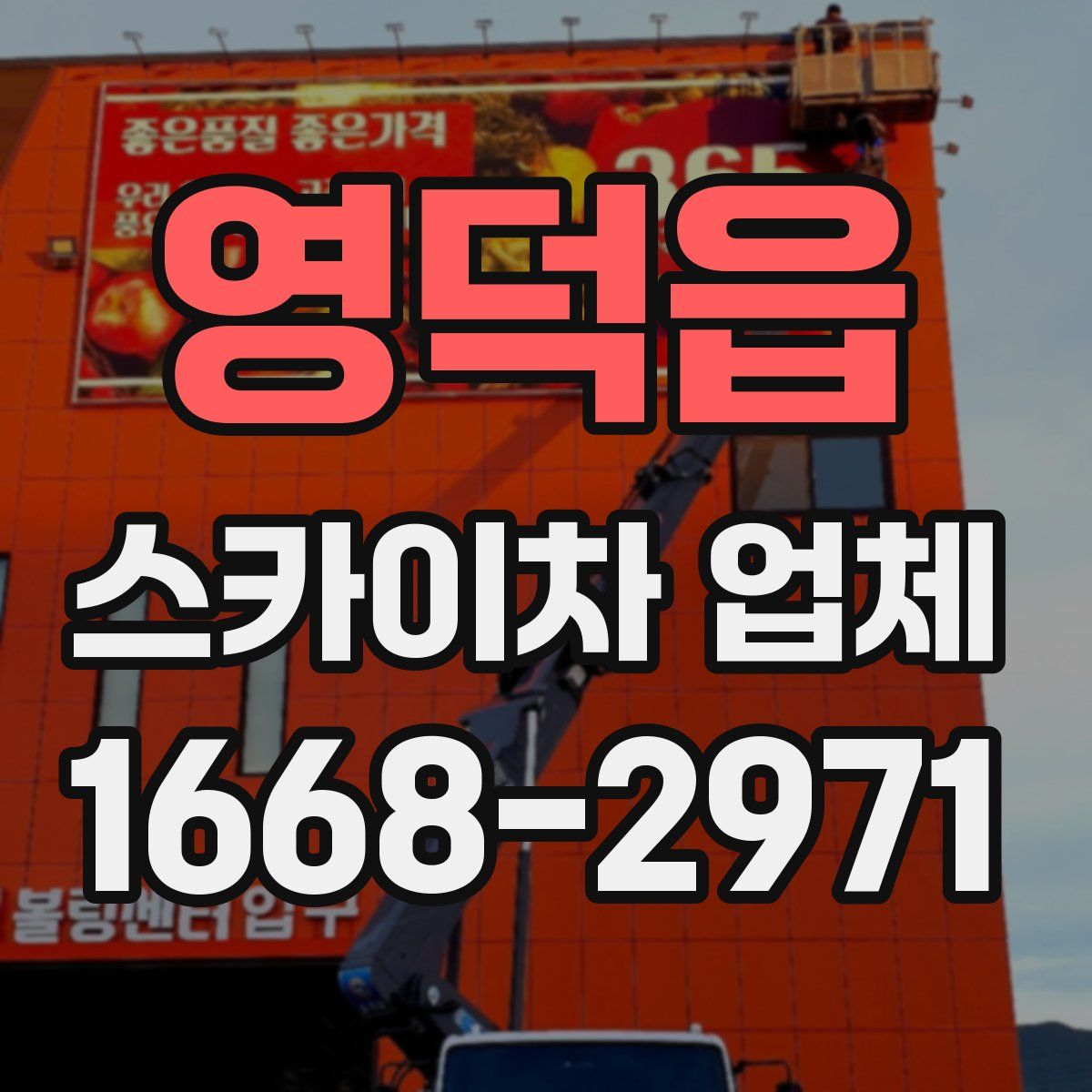 영덕읍 스카이차 업체