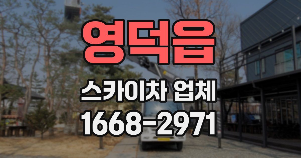 영덕읍 스카이차 업체