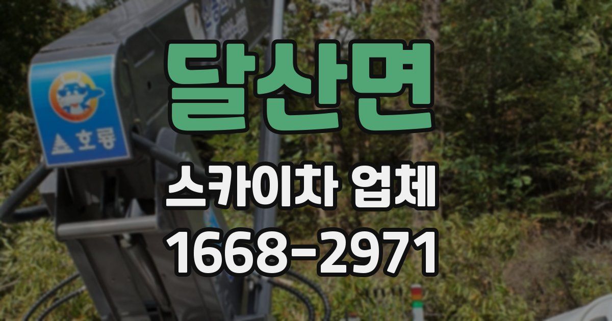 달산면 스카이차 업체