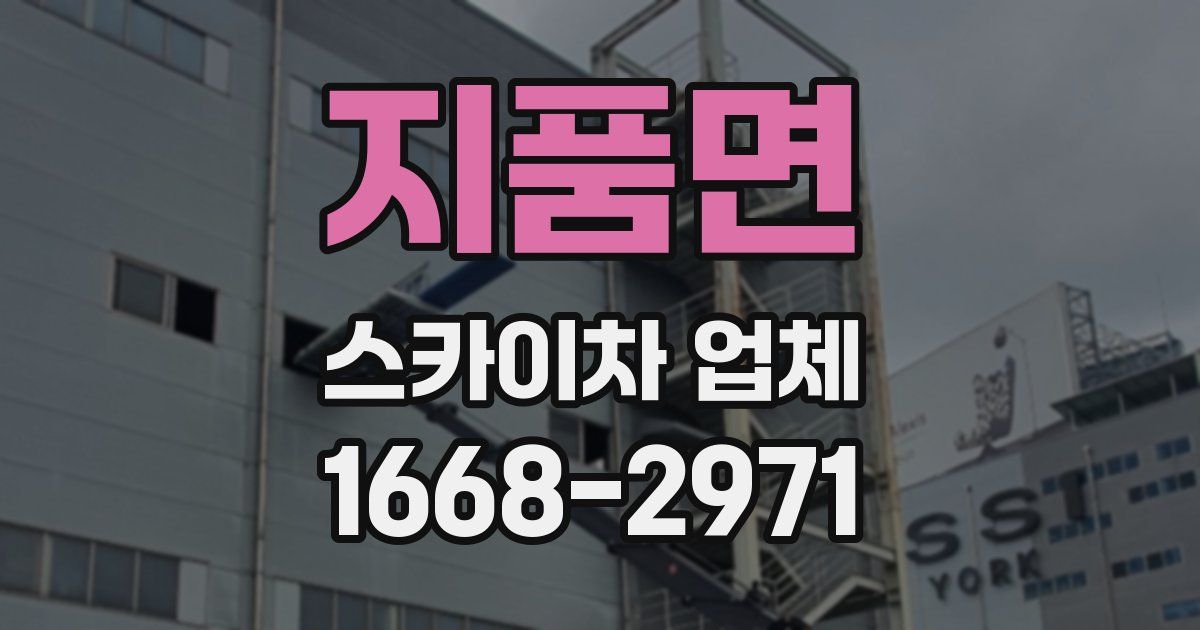 지품면 스카이차 업체
