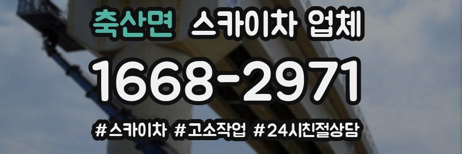 축산면 스카이차 업체