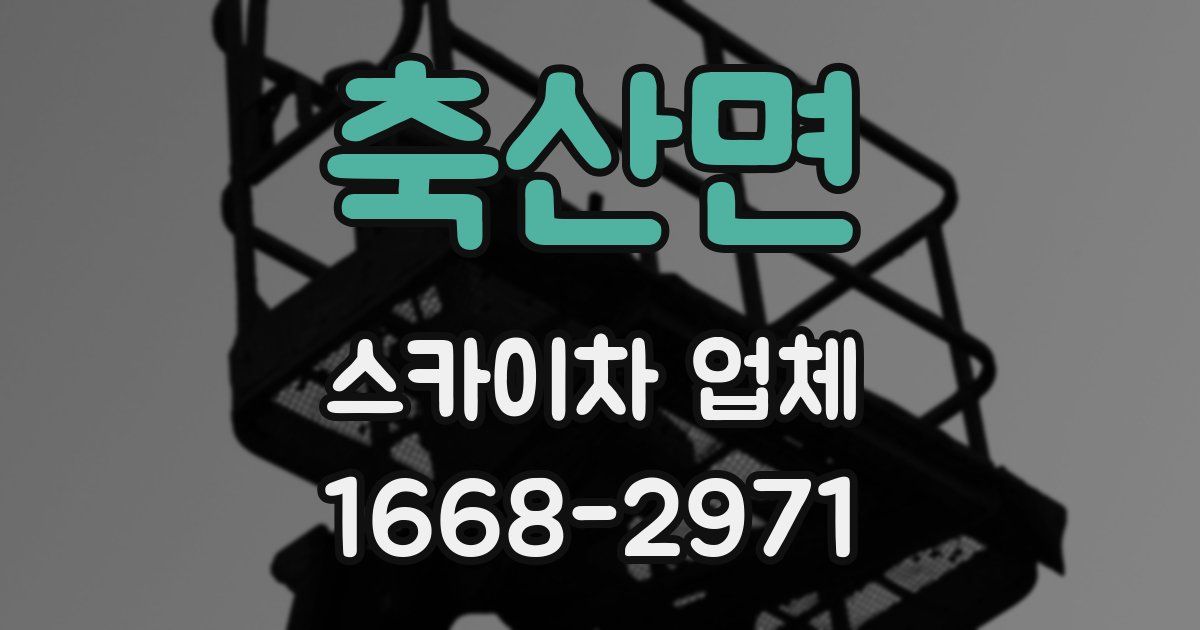 축산면 스카이차 업체