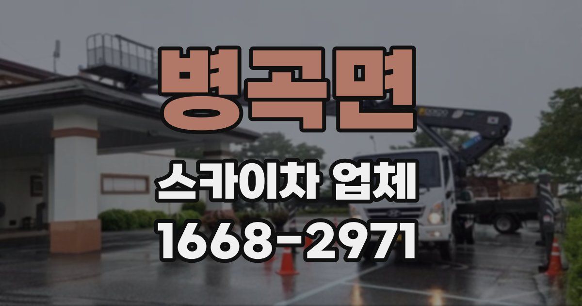 병곡면 스카이차 업체