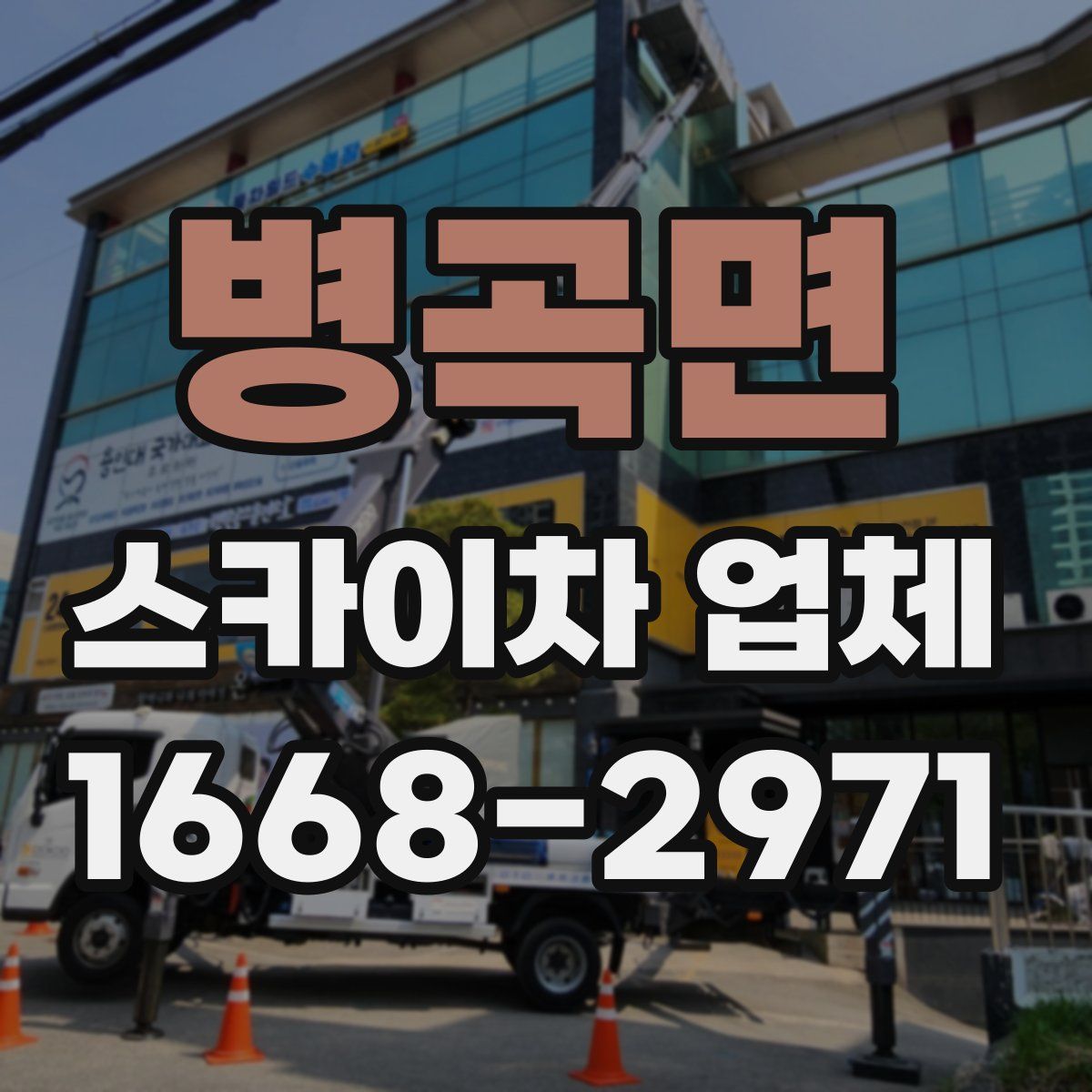 병곡면 스카이차 업체