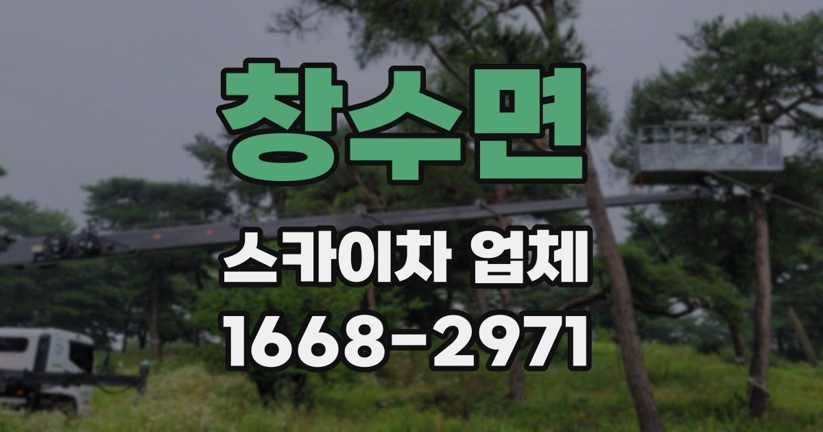 창수면 스카이차 업체