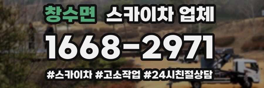 창수면 스카이차 업체