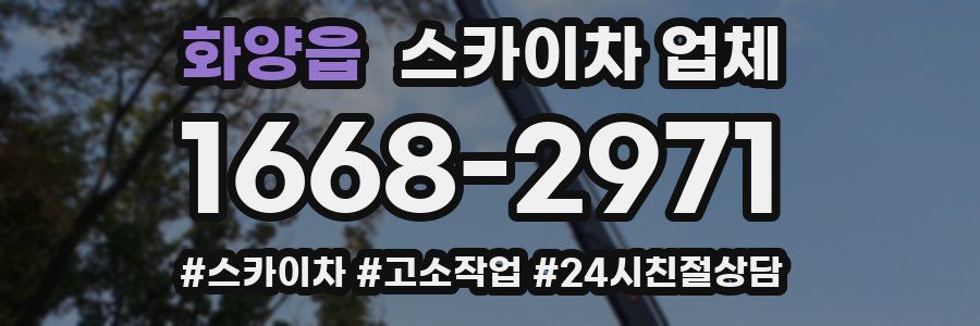 화양읍 스카이차 업체