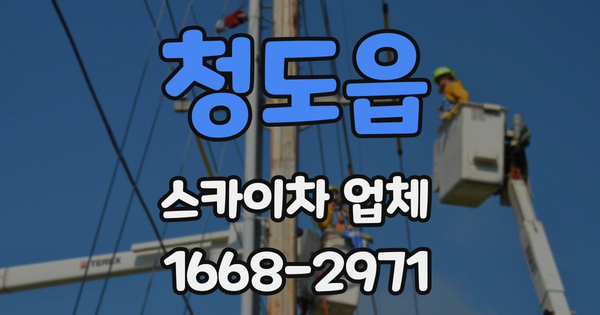 청도읍 스카이차 업체