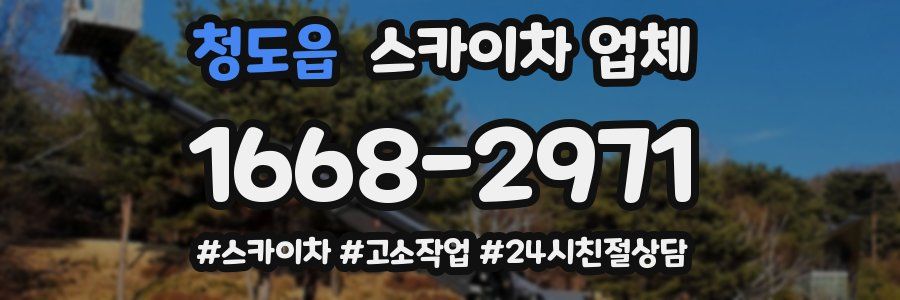 청도읍 스카이차 업체