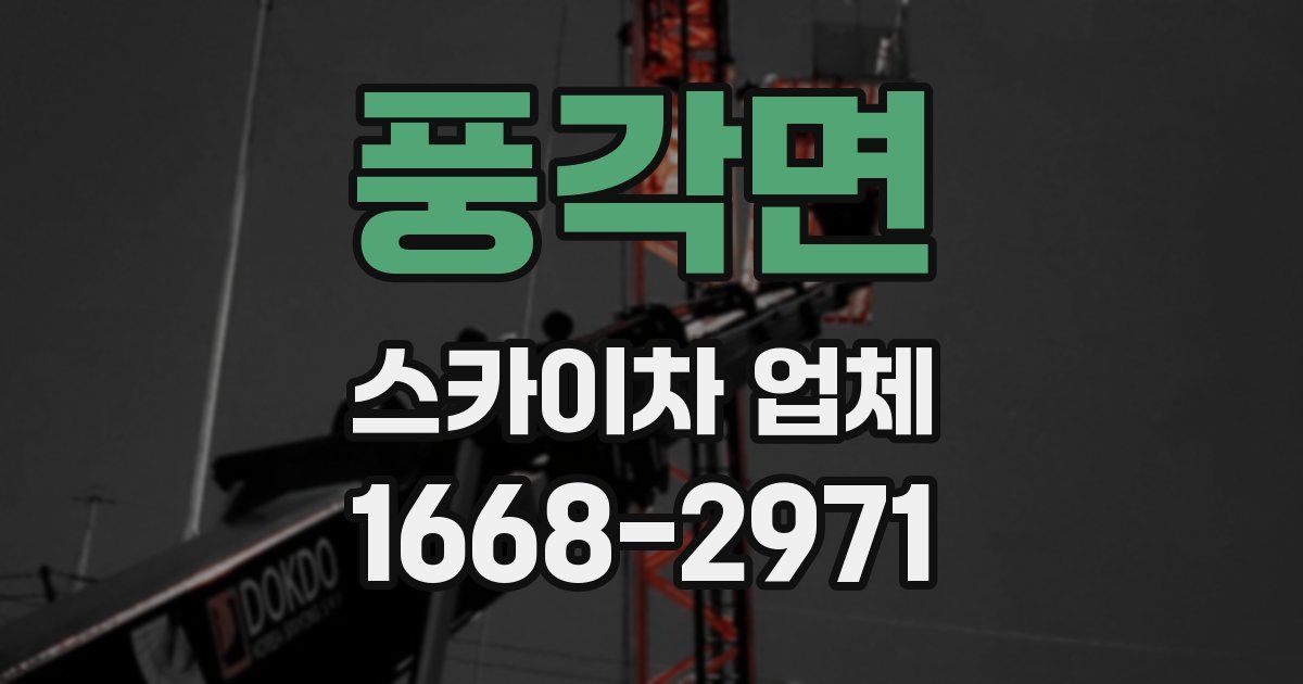 풍각면 스카이차 업체