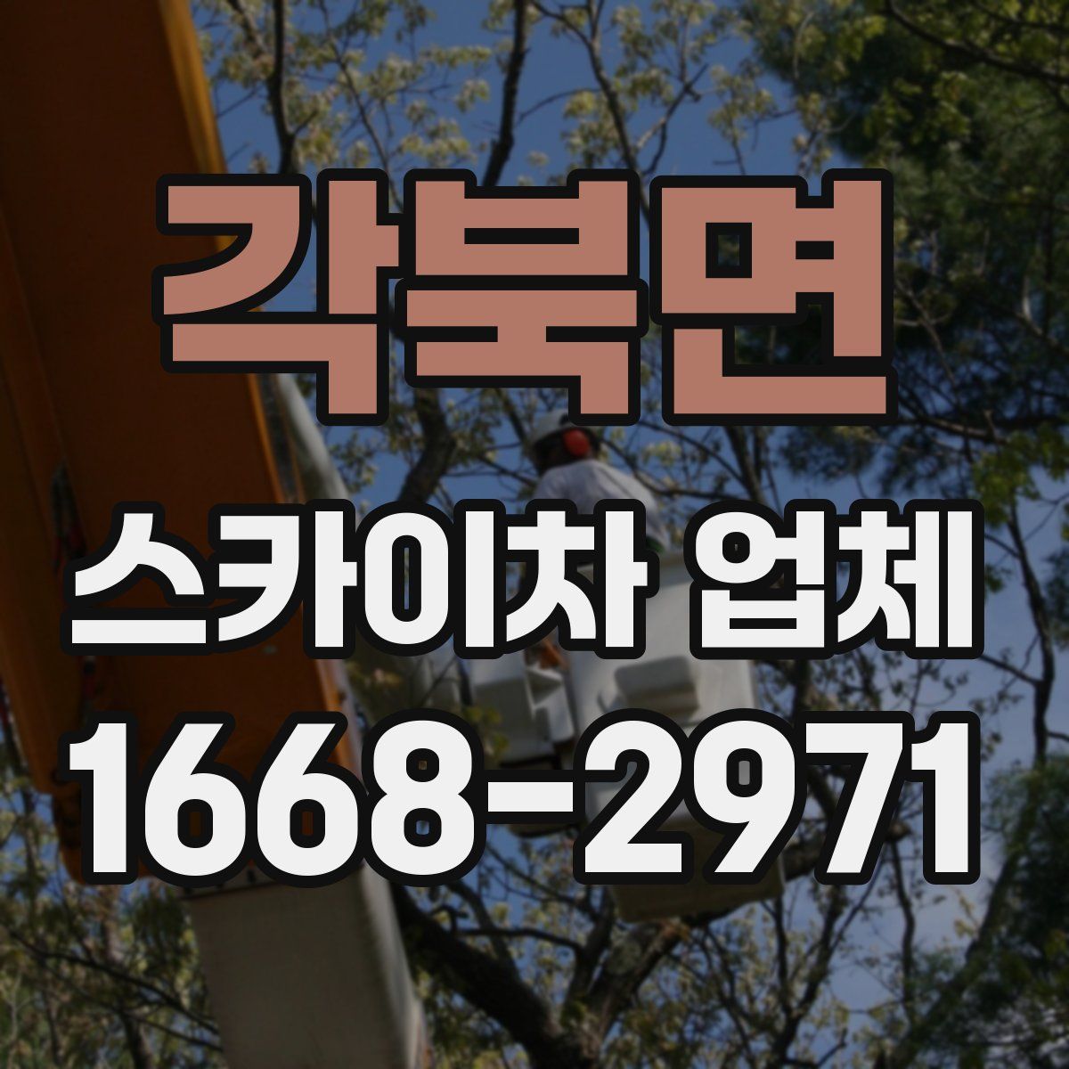 각북면 스카이차 업체