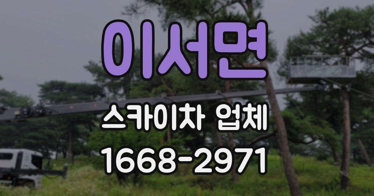이서면 스카이차 업체