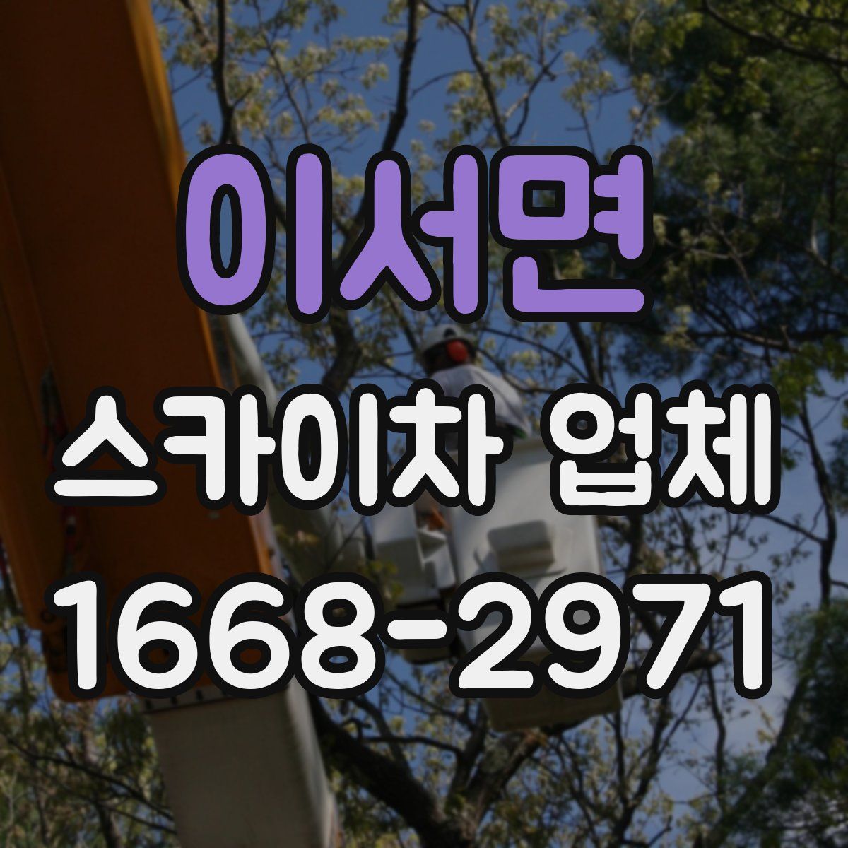 이서면 스카이차 업체
